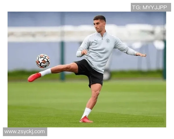 费兰托雷斯的崛起之路：从青训天才到足球明星的华丽转身